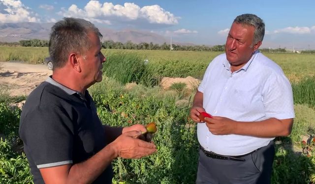 Çiftçi: Bu şartlarda üretim yapmak zor