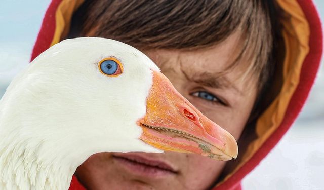 Bir fotoğraf karesi hiç bu kadar anlamlı olmamıştı!