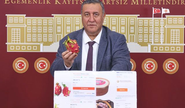 Gürer: Emekli maaşlarının enflasyon karşısında korunmalı