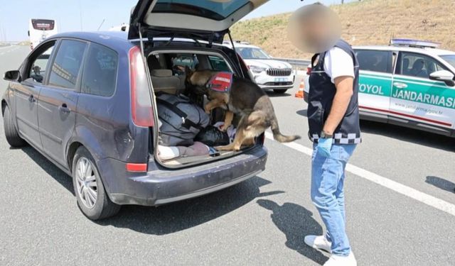 Koklayıp bulduğu uyuşturucuyu patisiyle böyle çıkarttı