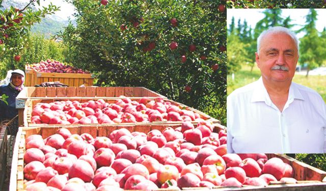 Profesörden korkutan açıklama: "Gıda krizi artık kapımızdan değil evimizden içeri girdi"