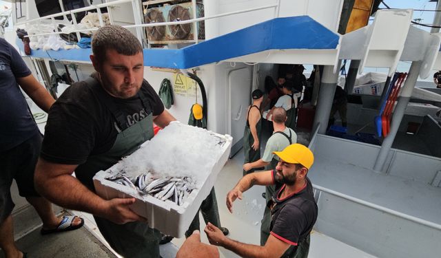 Balık fiyatları 1 ay sonra ucuzlayacak