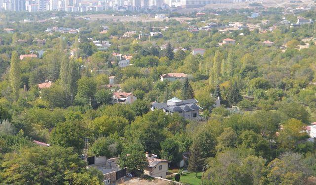 Kayardı Bağları Sonbaharın Renkleriyle Göz Kamaştırıyor