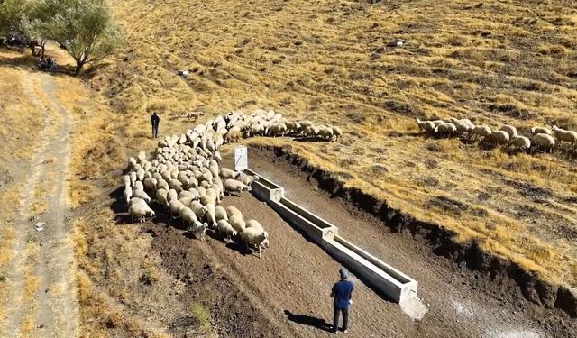 Niğde'de meralara yeni hayvan içme suyu alanı kazandırıldı