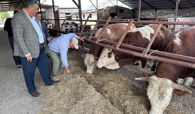 Gürer: “Sütün kaymağını üreten de tüketen de yiyemiyor”