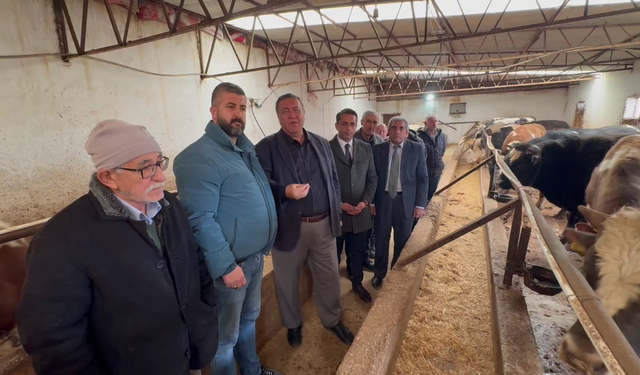 Vekil Gürer: ”Hayvan varlığı eriyor, ithalata kapı açılıyor”