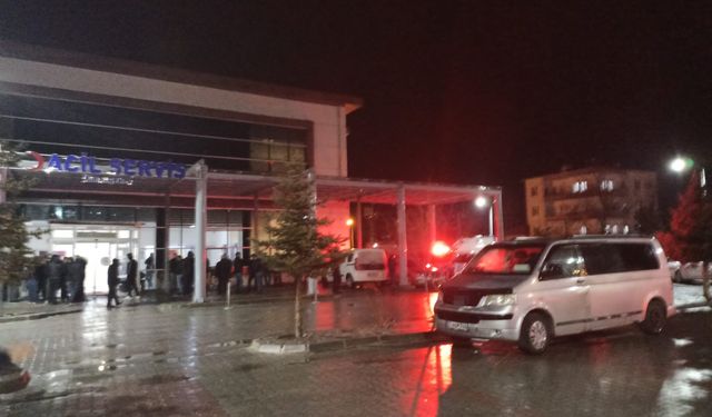 Trafik kazası kavgasında 2 kişi öldü!