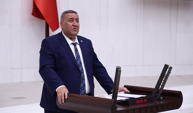 Gürer: “Milli parklar ranta kurban edilmemelidir”