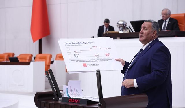 Gürer: “3 yılda 112 bin hayvancılık işletmesi kapandı”