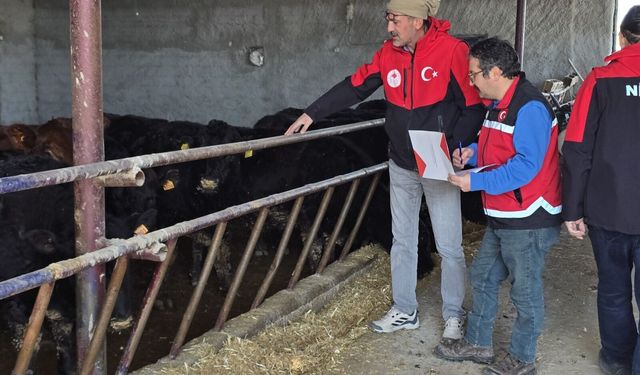 Yetiştiricilere Angus Irkı Düve teslim edildi