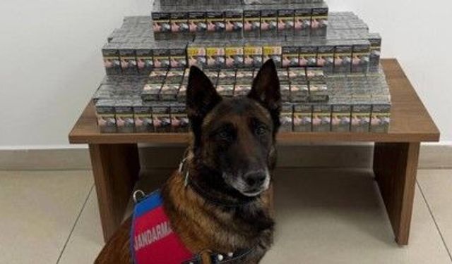 Yolcu otobüsünde kaçak sigara operasyonu