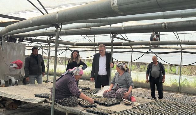Bor’da Seralarda inceleme