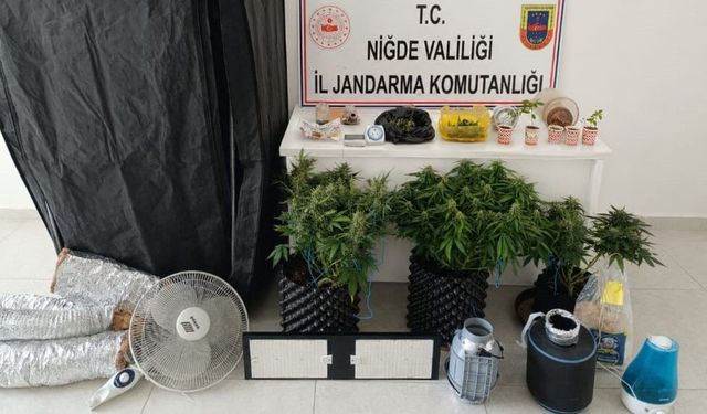 Jandarmadan narkotik operasyonu