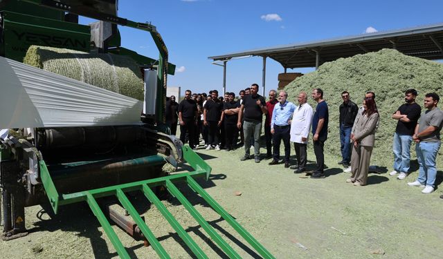 Üreten Üniversitede Kaba Yem hasadı başladı