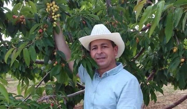 Niğde Kirazında ‘Kiraz Sineği’ Alarmı