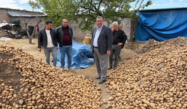 Gürer: “Niğde’de 200 Bin tona yakın patates çöp oldu”