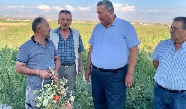 Gürer:“Üretici-çiftçi borcunu ödeyemeyince icra kapıda”