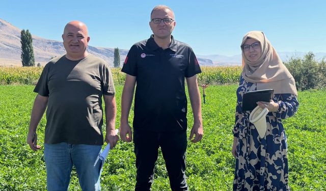 Bor'da Yem Bitkileri saha kontrolü
