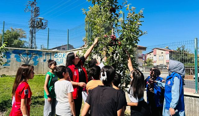 Gençlik Merkezi Hobi Bahçesi mahsul veriyor