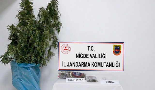 Jandarmadan Narkotik Operasyonu!