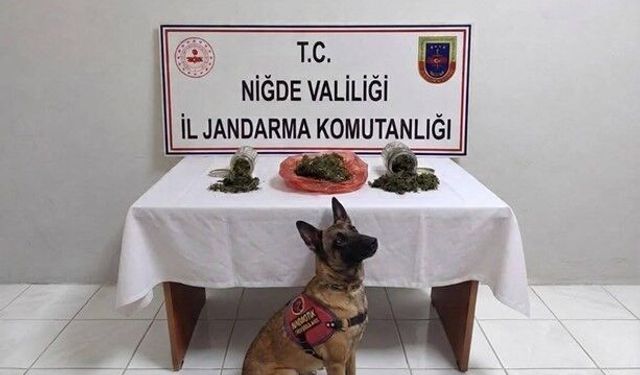 Ulukışla’da Narkotik Baskını