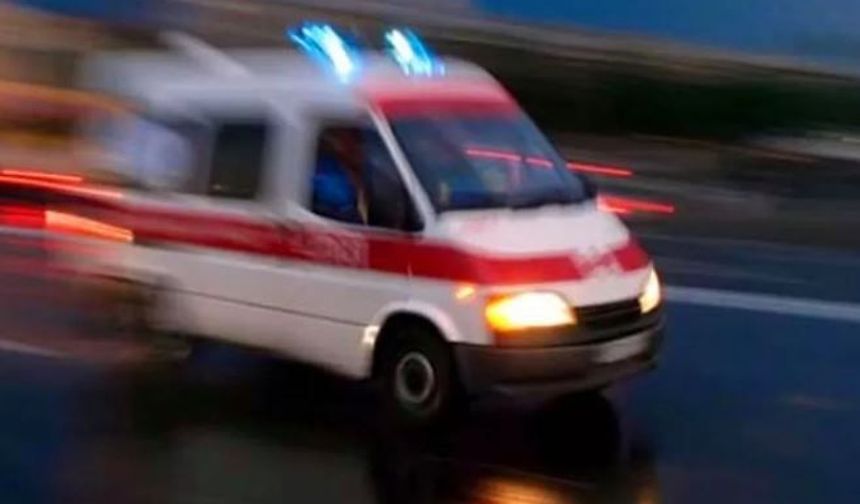 Ava giden adam ölü bulundu