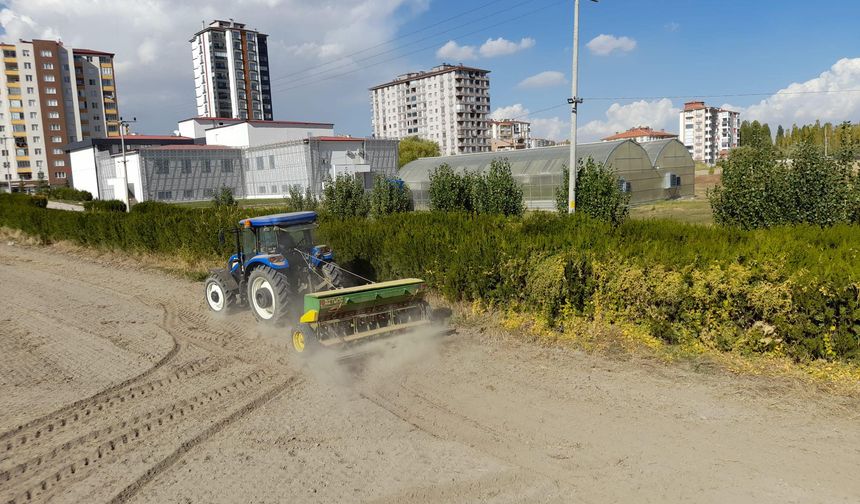 Enstitü arazisine milli buğday ekimi yapıldı