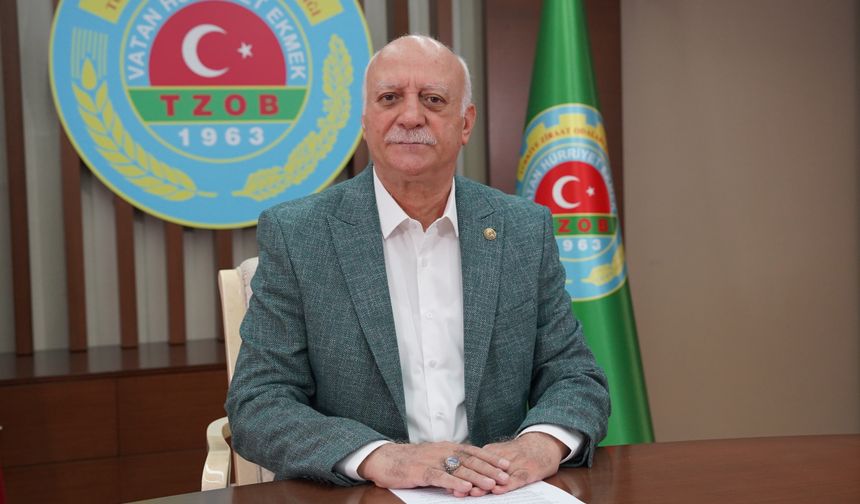 Düşük limon fiyatları üreticileri mağdur etti