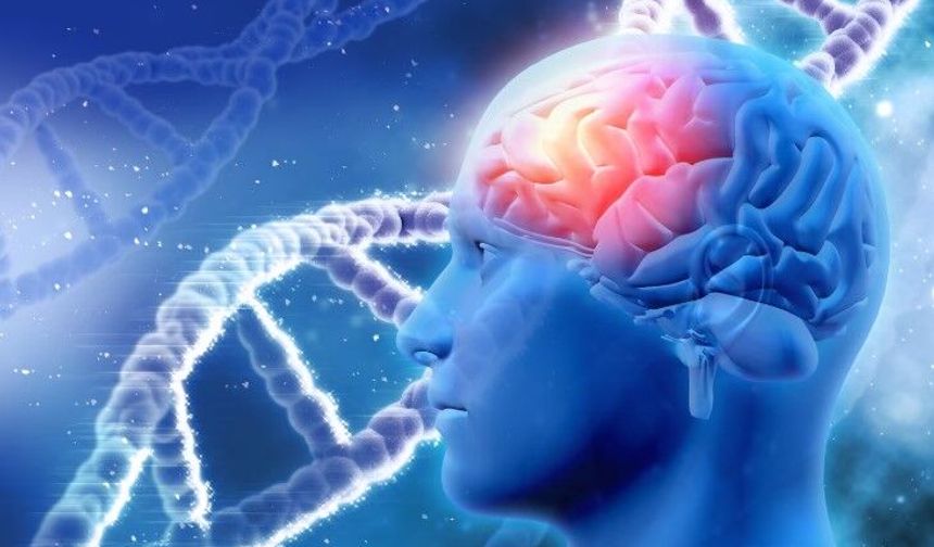 Alzheimer tanısında kan testi dönemi