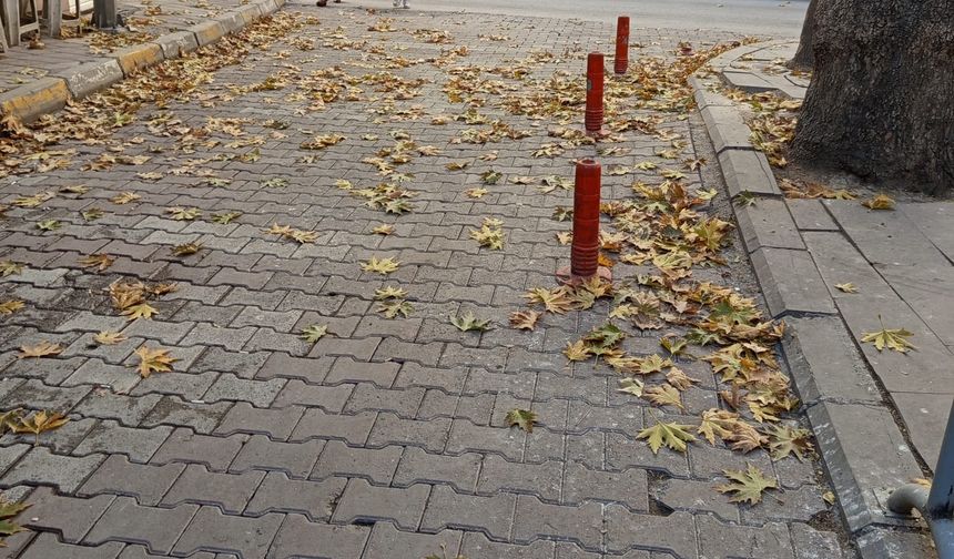 Niğde sonbaharında yapraklar görsel şölene dönüştü