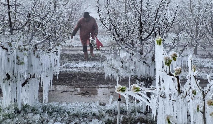 Zirai Don Meclis Araştırma Komisyonu 14 Mayıs'ta toplanıyor