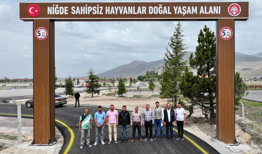 Vali Çelik, Sahipsiz Hayvanlar İçin Kurulan Doğal Yaşam Alanı’ndaki Çalışmaları Yerinde İnceledi