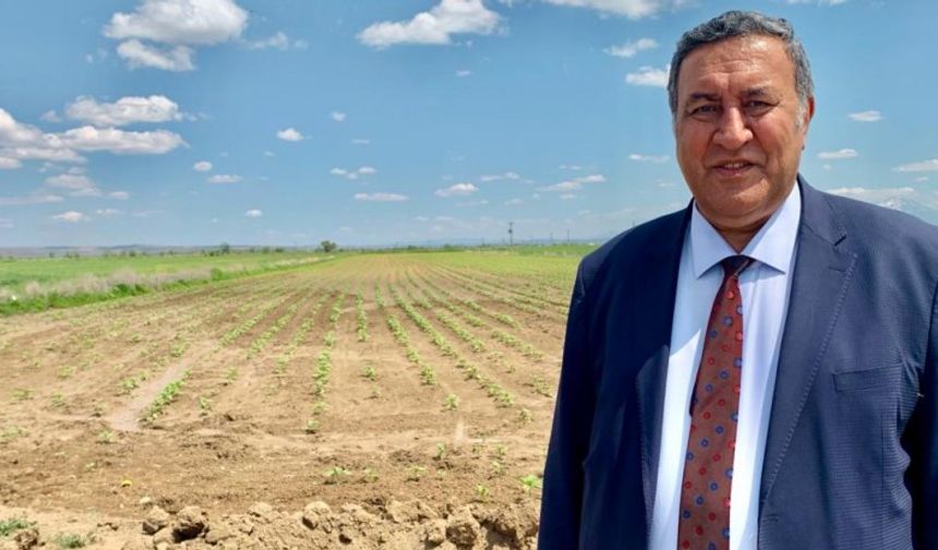 Gürer: “Tarım alanları daralıyor”