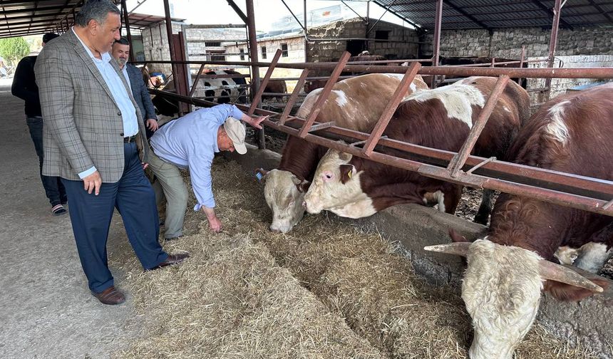 Gürer: “Sütün kaymağını üreten de tüketen de yiyemiyor”