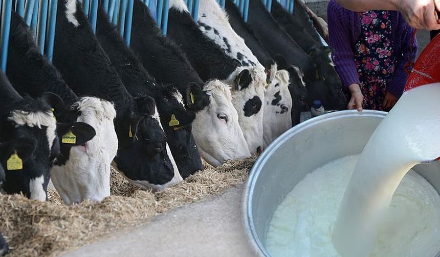 Ticari süt işletmelerince 895 bin 834 ton inek sütü toplandı