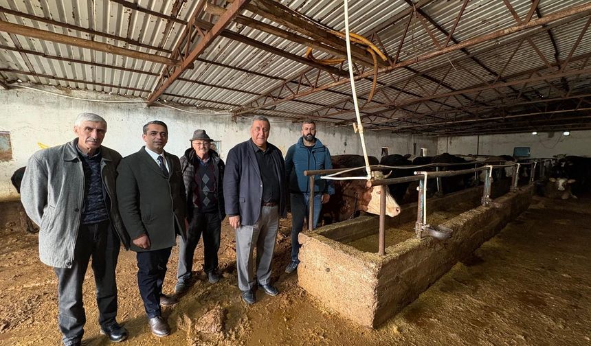 Milletvekili Gürer: “Şap Hastalığı Hayvancılığı Vuruyor!”