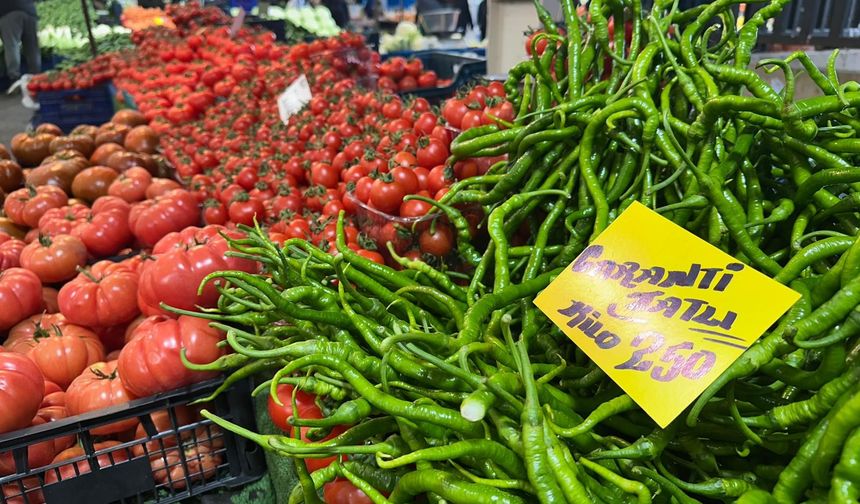 Sivri Biber Ve Salatalık fiyatlarında ateşi yükseldi!
