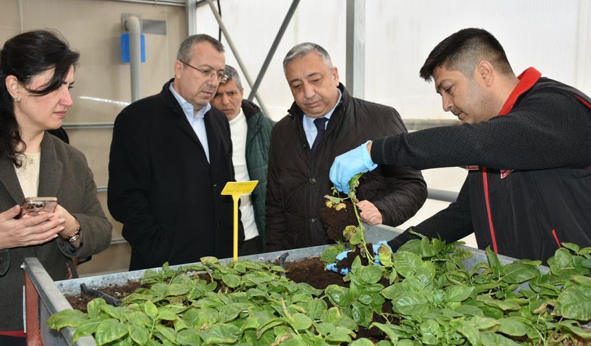 Denizbank’tan Patates Araştırma Enstitüsü’ne ziyaret