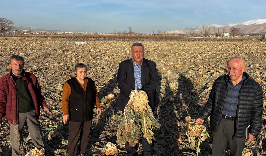 Gürer: “Emek Tarlada Kaldı”