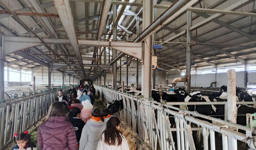 Çocuklar, tarımsal üretimi yerinde inceledi