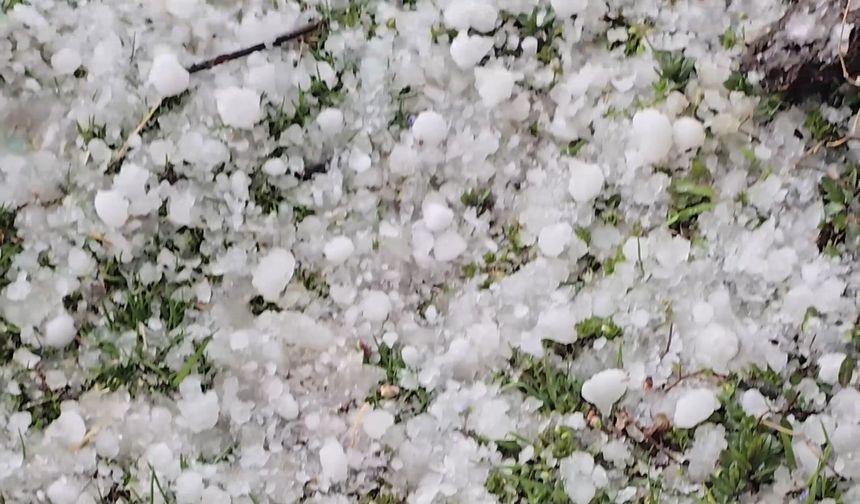 Niğde’de dolu yağışı etkili oldu