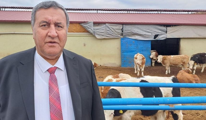 Gürer: ”Savaşın etkisi yoksulluğu artıracak”