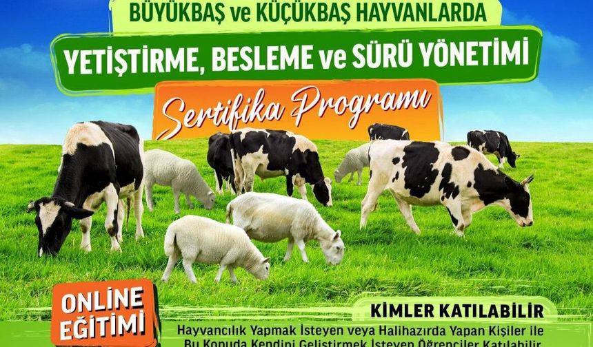 NÜSEM’de Hayvancılık Sertifika Programı başlıyor