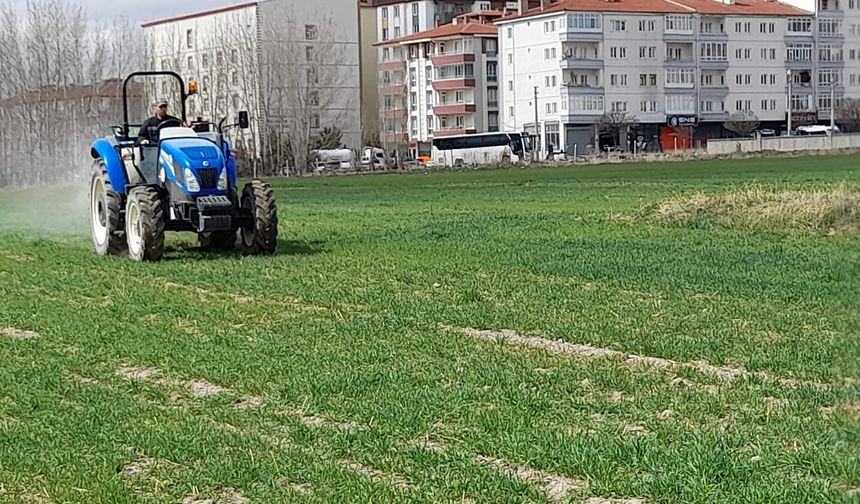 Yerli Buğday TANER’in Gübrelemesi yapıldı