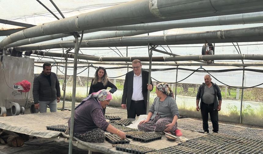 Bor’da Seralarda inceleme