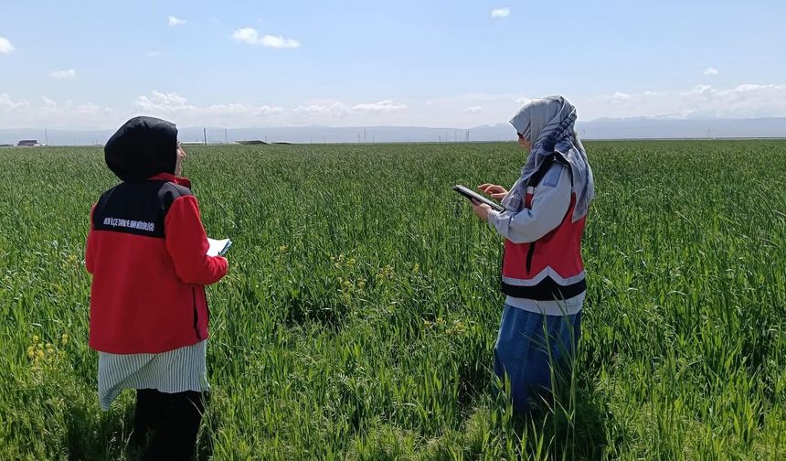 Bor’da tarım arazilerinde sağlık kontrolü