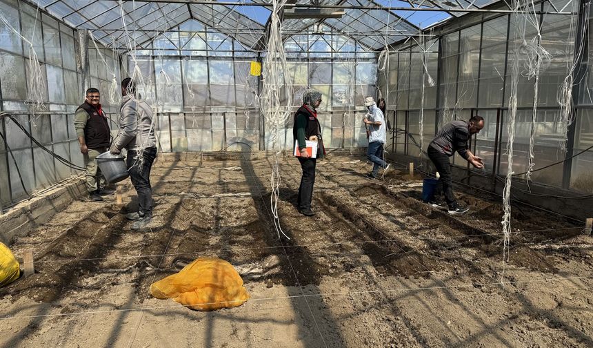 Enstitü’ de yeni sezon hazırlıkları başladı