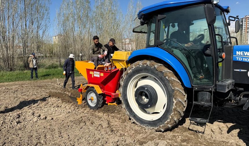 Enstitü ’de yeni sezon ıslah çalışmaları başladı