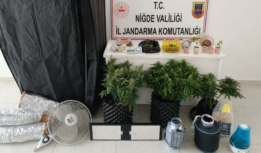 Jandarmadan narkotik operasyonu