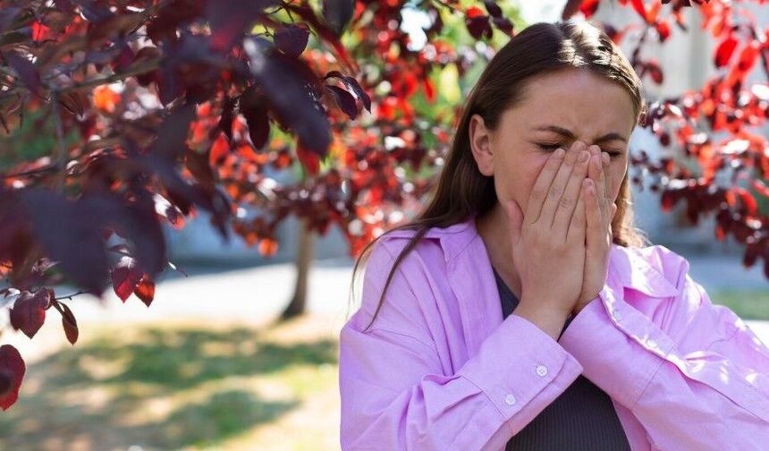 Baharla birlikte gelen polen mevsimi kabusunuz olmasın